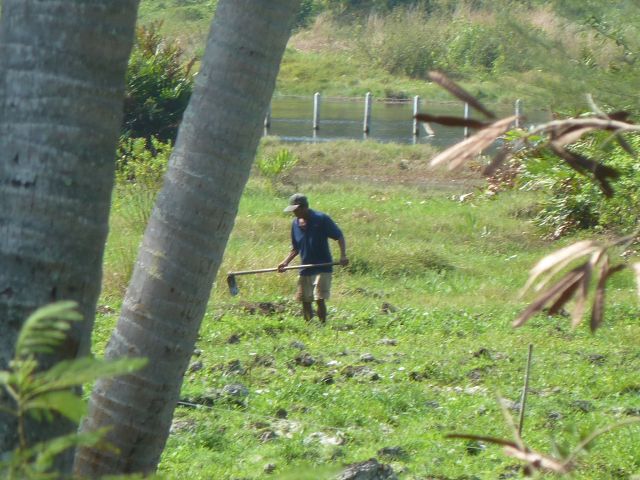 Ein Landarbeiter bei seiner Beschäftigung.